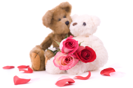 Valentine Flower Bears