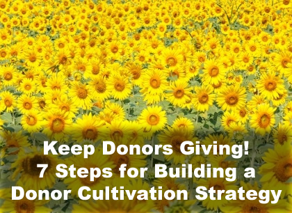 donor cultivation strategy