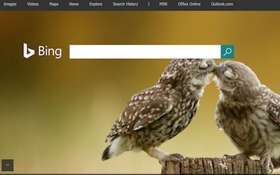 Bing image search
