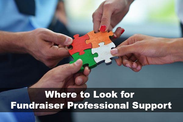 fundraiser professional support - people working together