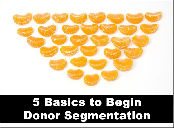 basics for donor segmentation - mandarin segments