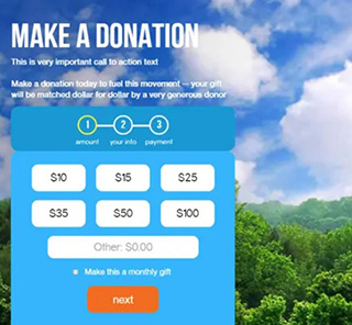 multi page donation form